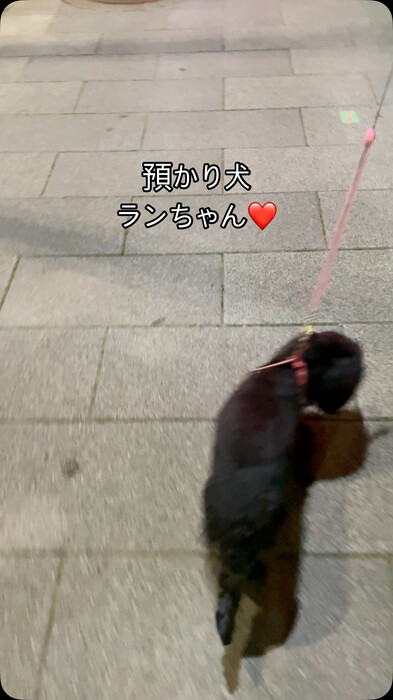 画像290
