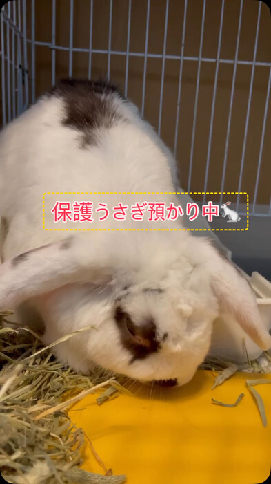画像292