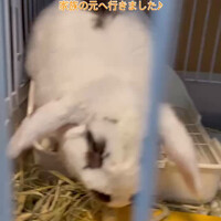 画像308