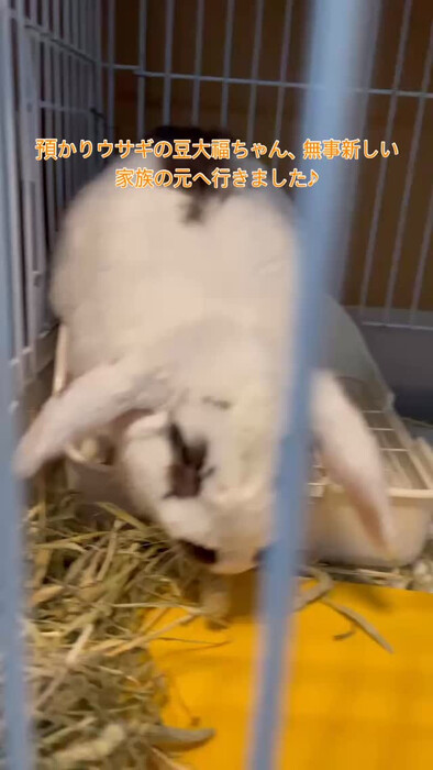 画像308